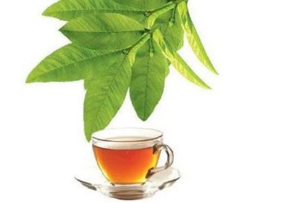 Giảm cân bằng trà từ những nguyên liệu tự nhiên hình 2