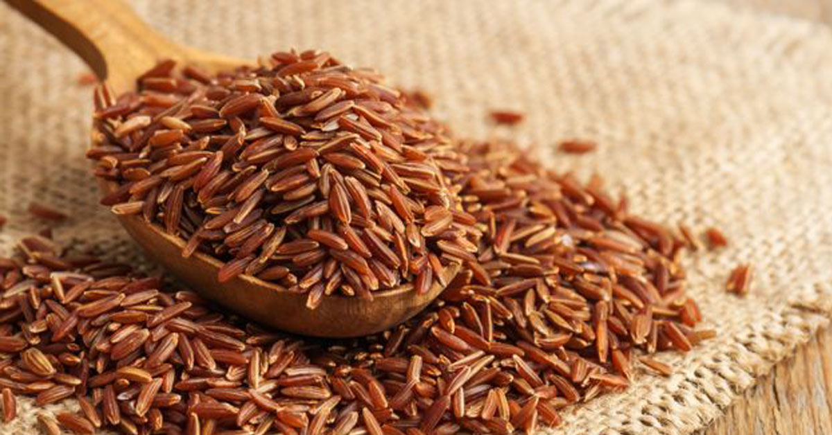 Gạo lứt cực kỳ giàu chất dinh dưỡng và khoáng chất