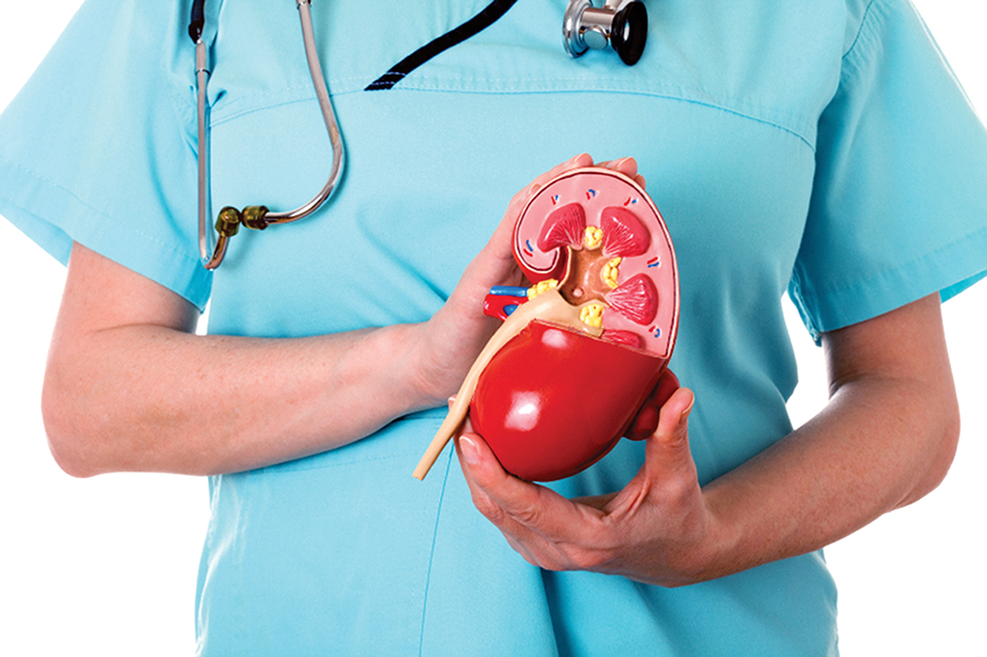 Hạ huyết áp dẫn đến suy thận