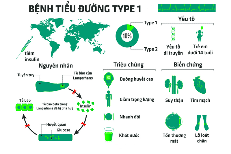Thông tin về bệnh tiểu đường type 1