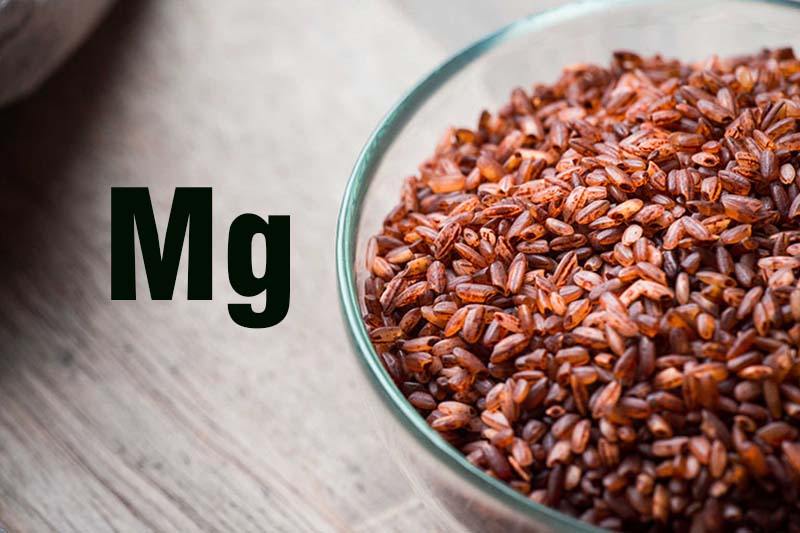 Magie có nhiều trong màng cám gạo lứt