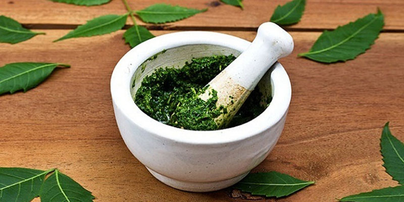 Công Dụng Của Lá Lốt Trong Việc Chữa Đau Xương Khớp