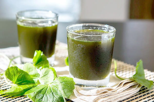 Trà giải độc gan có tốt không