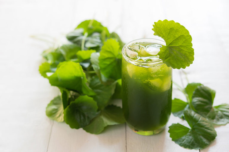 Nước rau má giúp mát gan, giải độc gan nhanh chóng