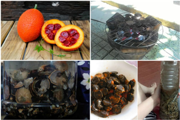 Dùng rượu hạt gấc chữa đau khớp gối ở người già